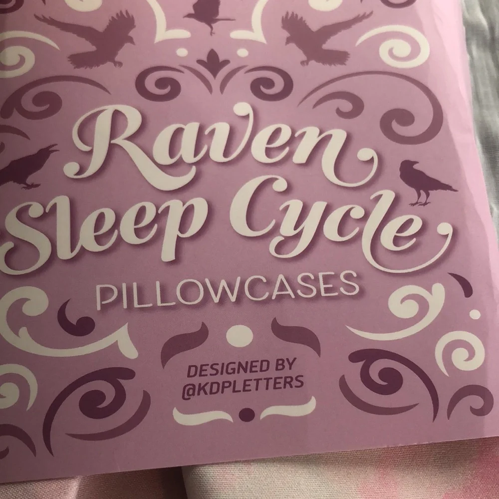 RAVEN SLEEP CYCLE PILLOW CASES NWOT lot of 2 20 x 30 